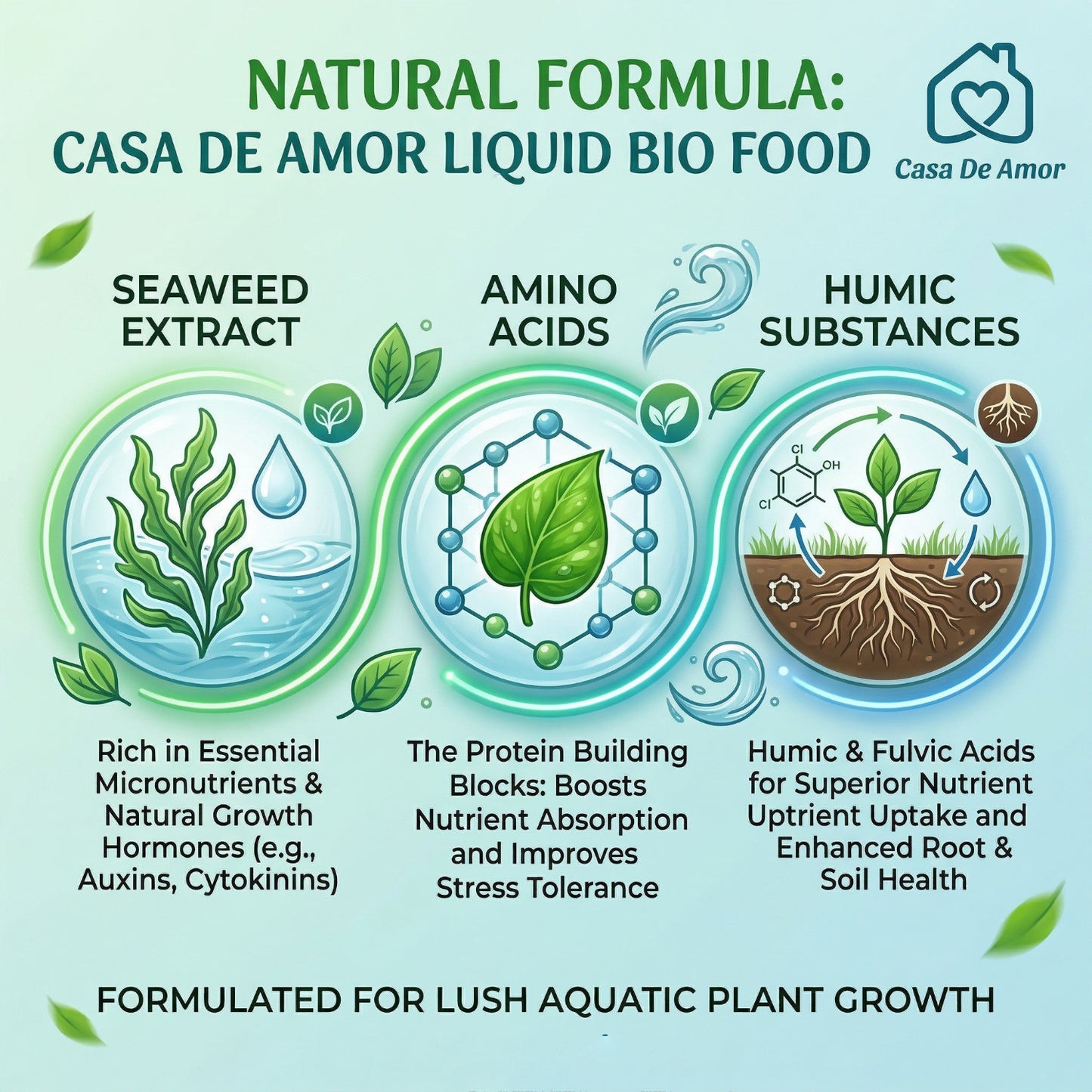 Casa De Amor Bamboo Plant Food for Lucky Bamboo & Money Plants | 2 x 50ml (100ml Total)