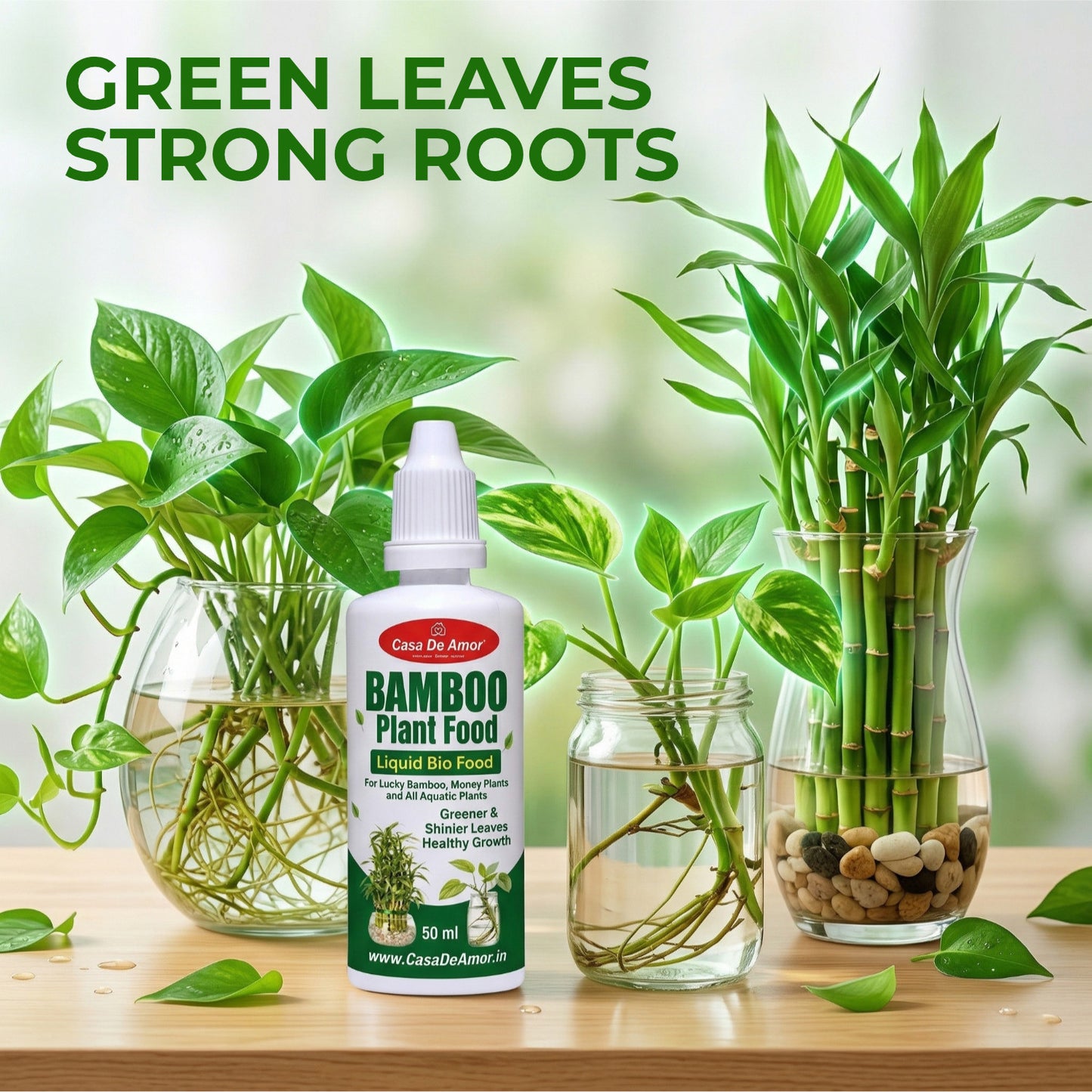 Casa De Amor Bamboo Plant Food for Lucky Bamboo & Money Plants | 2 x 50ml (100ml Total)