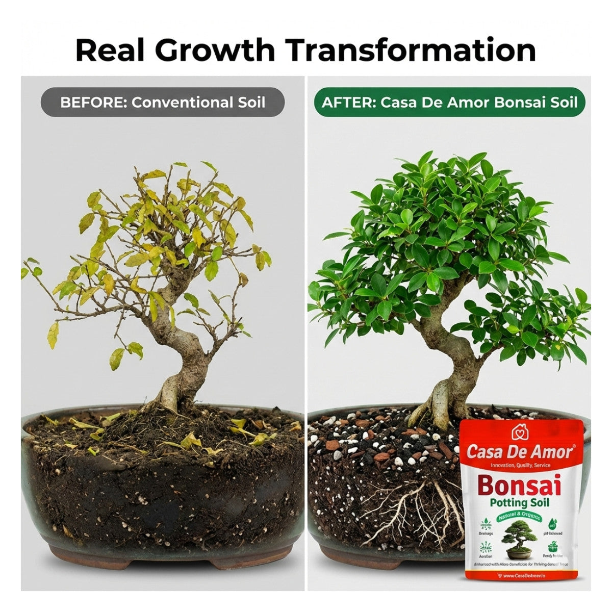 Casa De Amor Organic Bonsai Potting Soil | Ready-to-Use Bonsai Soil Mix