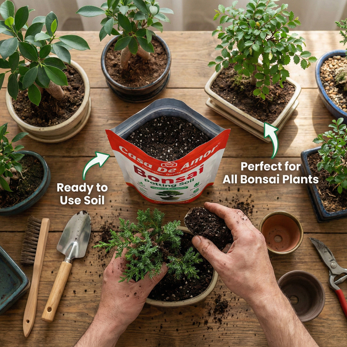 Casa De Amor Organic Bonsai Potting Soil | Ready-to-Use Bonsai Soil Mix