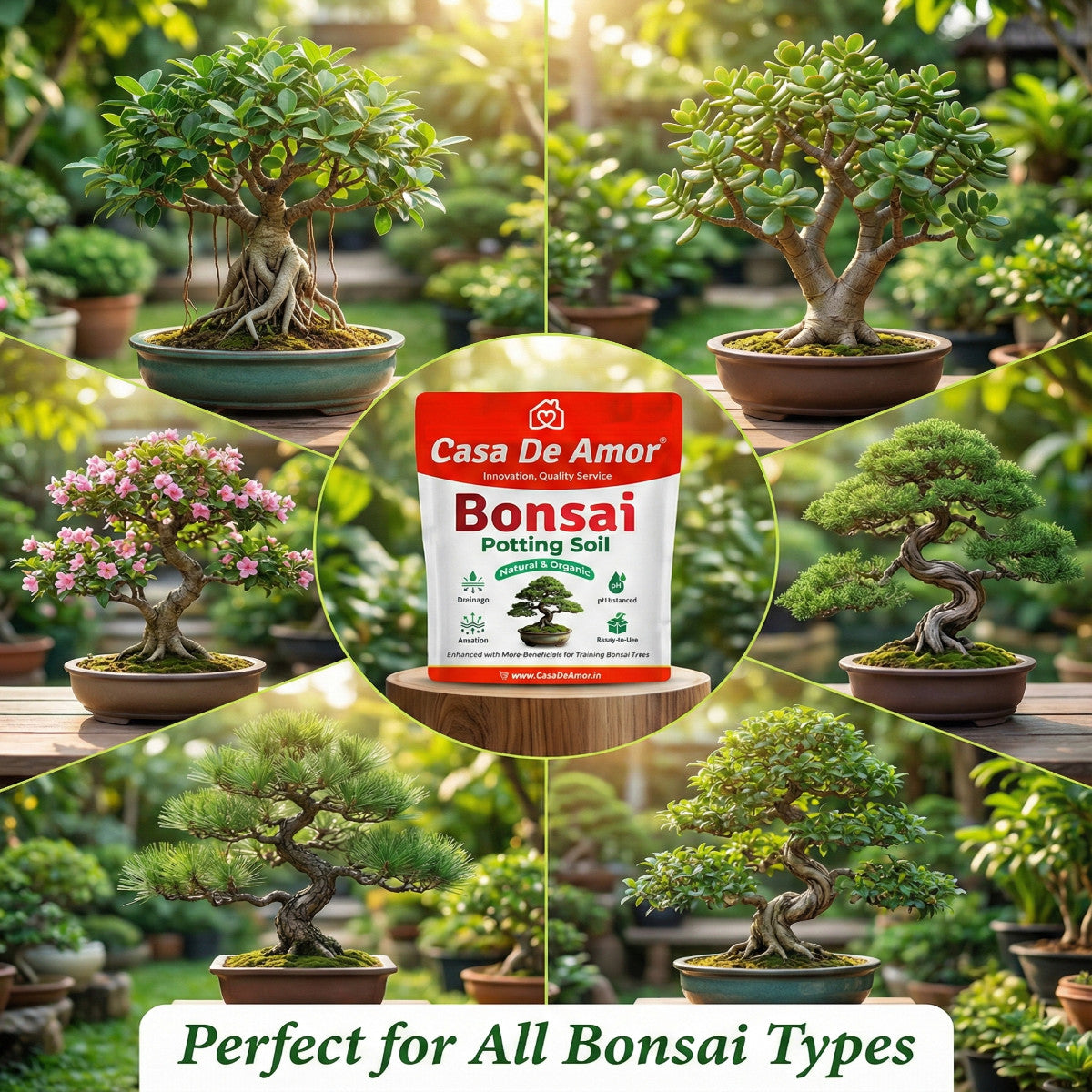 Casa De Amor Organic Bonsai Potting Soil | Ready-to-Use Bonsai Soil Mix