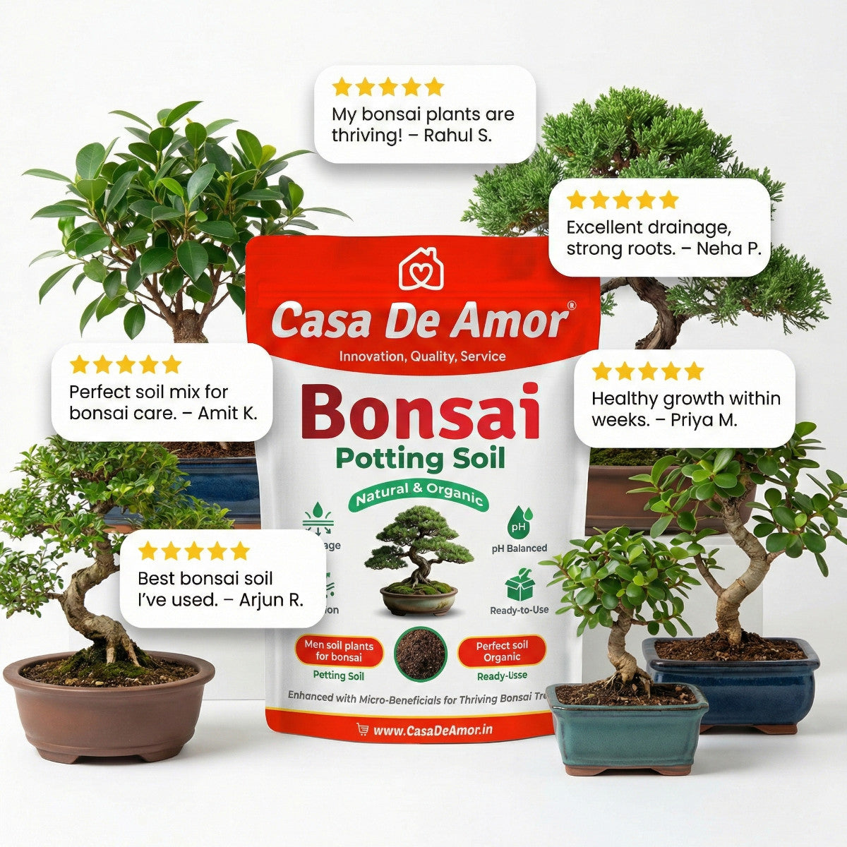 Casa De Amor Organic Bonsai Potting Soil | Ready-to-Use Bonsai Soil Mix