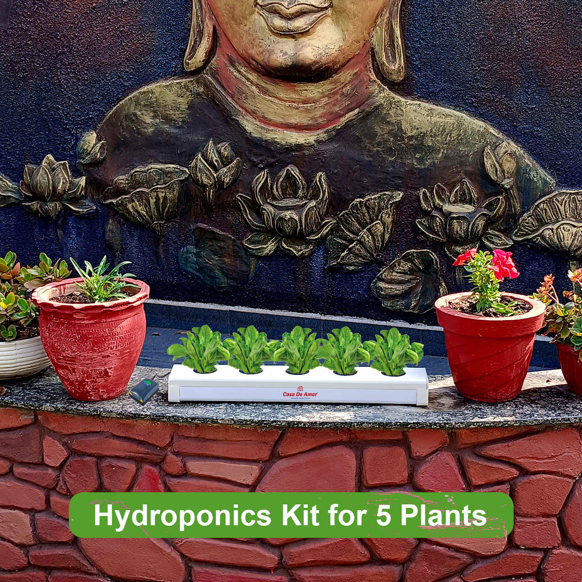 Casa De Amor Hydroponics Deep Water Culture (DWC) Kit for 5 Plants, Exotic Leafy & Herbs, Perfect at Home Kit for Hydroponic Indoor and Outdoor Gardening