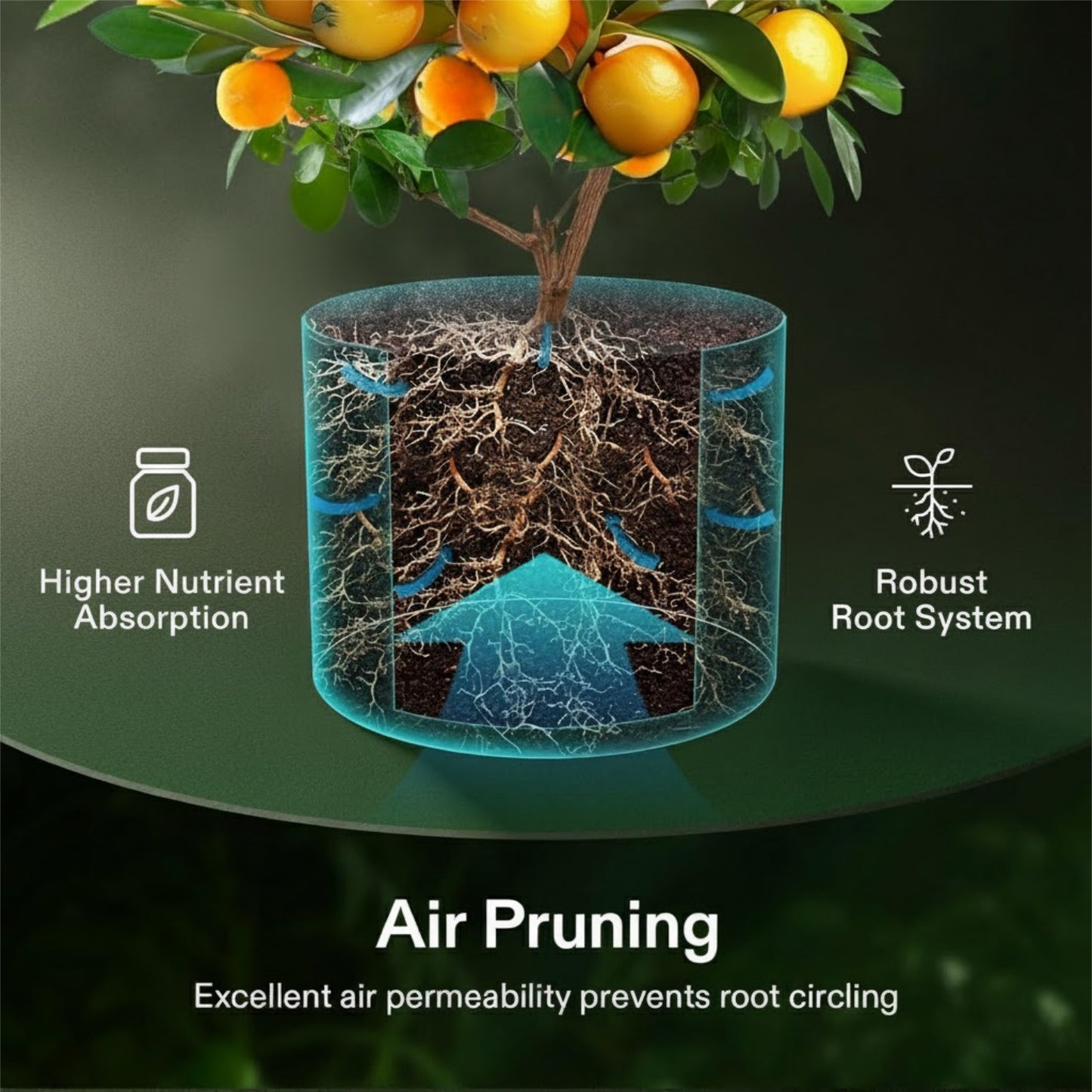 Casa De Amor 350 GSM Maroon Fabric Grow Bags for Terrace Gardening/Vegetable Plants | Breathable | Heavy Duty Thickened Nonwoven