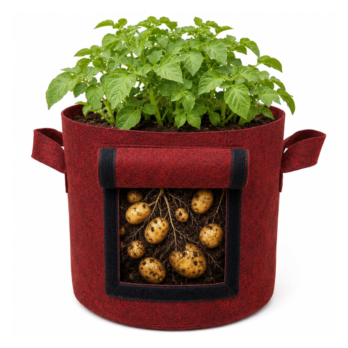 Casa De Amor 400 GSM Geo Fabric Potato Grow Bag with Harvest Window – 15x12 Inch