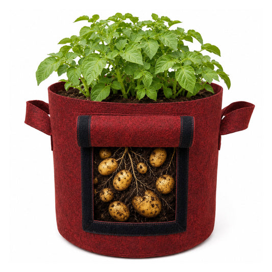 Casa De Amor 400 GSM Geo Fabric Potato Grow Bag with Harvest Window – 15x12 Inch