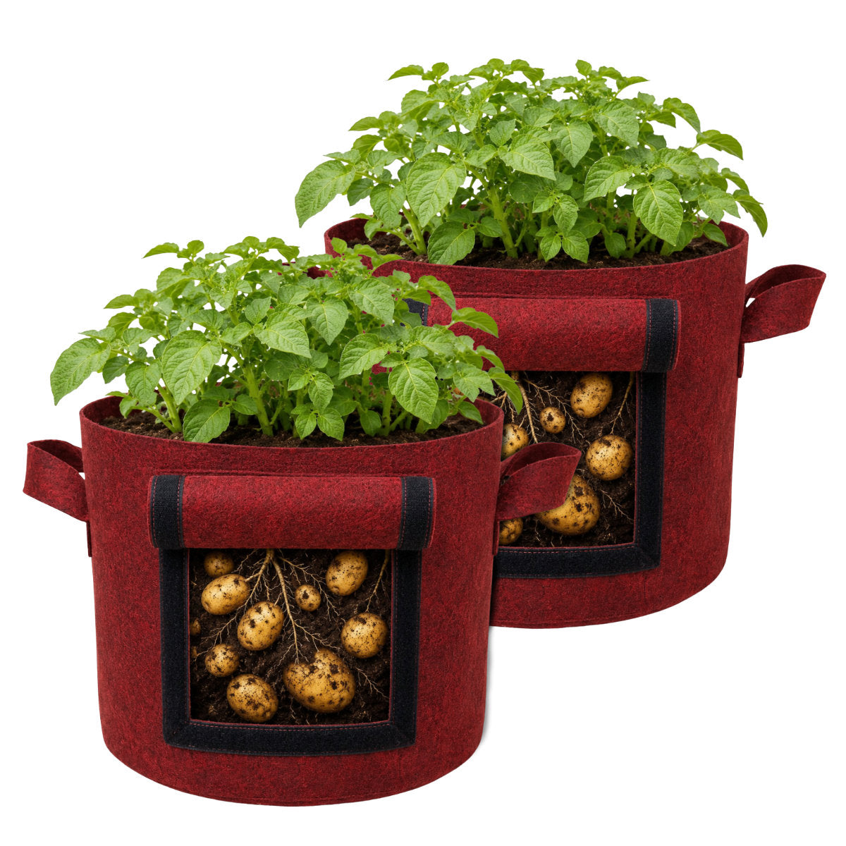 Casa De Amor 400 GSM Geo Fabric Potato Grow Bag with Harvest Window – 15x12 Inch