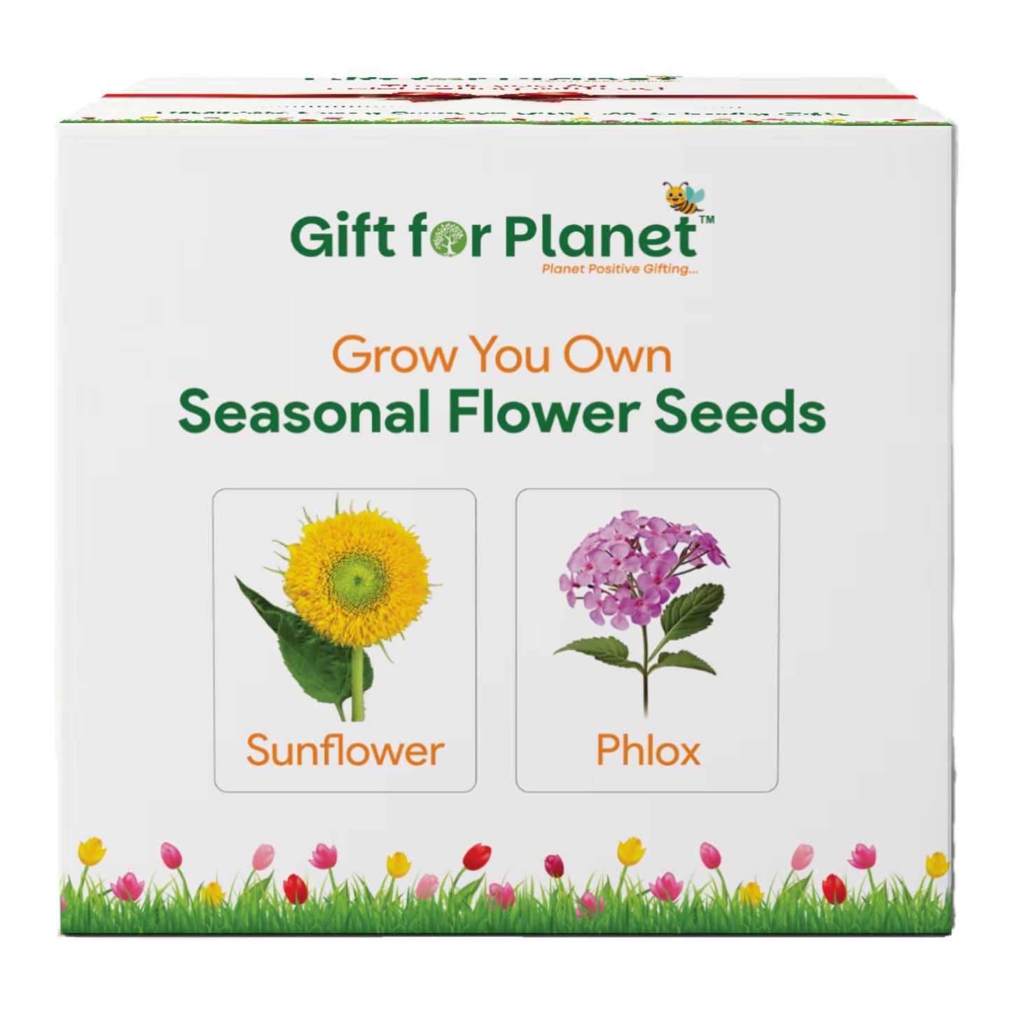 Casa De Amor Gift for Planet Grow Your Own Flower Kit for Kids – DIY Gardening Kit with Pot, Seeds, Soil – Eco-Friendly Return Gift
