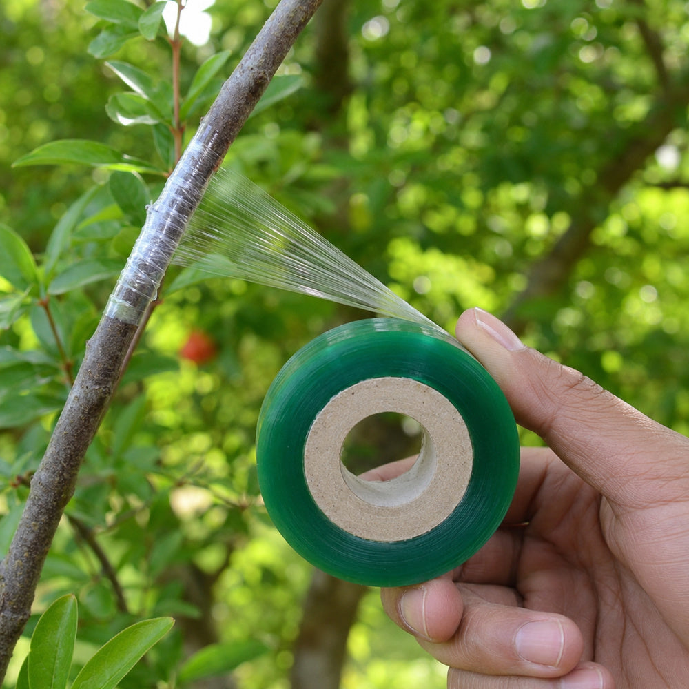Casa De Amor Grafting Tape for Plants, 1 Inch Transparent Stretchable Grafting Film for Fruit Trees, Budding, Nursery, Branch Wrapping and Plant Repair, Pack of 1