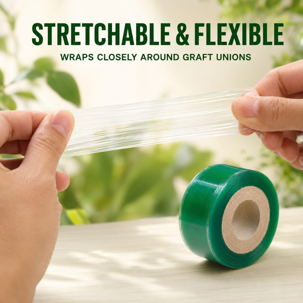 Casa De Amor Grafting Tape for Plants, 1 Inch Transparent Stretchable Grafting Film for Fruit Trees, Budding, Nursery, Branch Wrapping and Plant Repair, Pack of 1