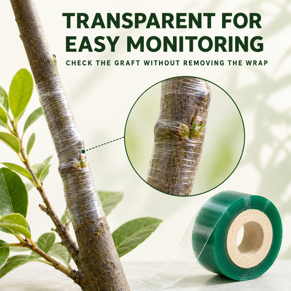 Casa De Amor Grafting Tape for Plants, 1 Inch Transparent Stretchable Grafting Film for Fruit Trees, Budding, Nursery, Branch Wrapping and Plant Repair, Pack of 1