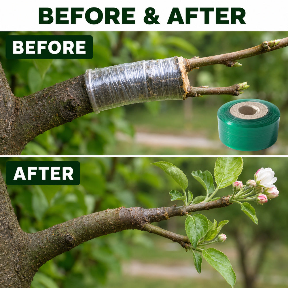 Casa De Amor Grafting Tape for Plants, 1 Inch Transparent Stretchable Grafting Film for Fruit Trees, Budding, Nursery, Branch Wrapping and Plant Repair, Pack of 1
