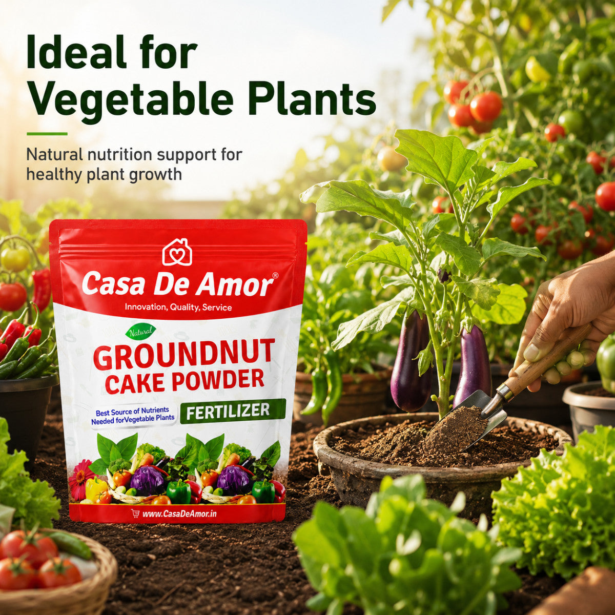 Casa De Amor Natural Groundnut Cake Powder Fertilizer for Home, Balcony, Terrace & Outdoor Gardening (900 Gm)