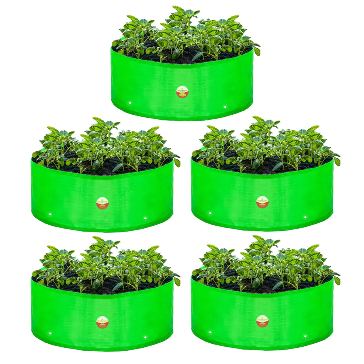 Casa De Amor HDPE UV Protected 360 GSM Green Grow Bags Round Suitable for Vegetable Terrace Gardening (12x6 Inch)