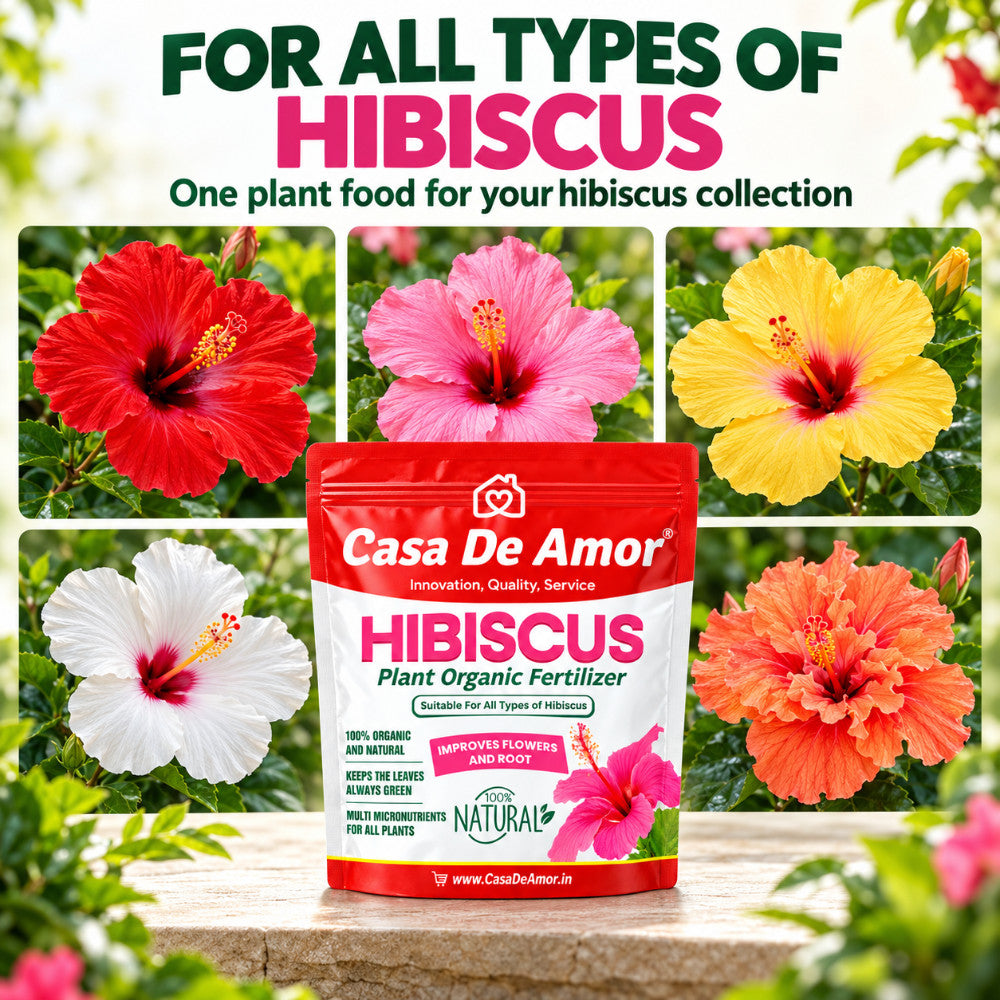 Casa De Amor Rose & Hibiscus Bloom Kit | Rose Care Fertilizer 900 gm + Hibiscus Fertilizer 1800 gm