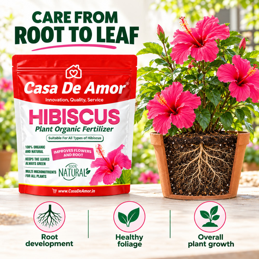 Casa De Amor Rose & Hibiscus Bloom Kit | Rose Care Fertilizer 900 gm + Hibiscus Fertilizer 1800 gm