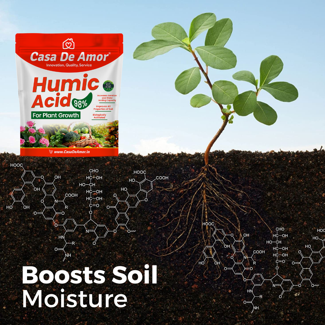 Casa De Amor Organic Humic Acid 98 (Water Soluble) for Plants, Natural Plant Growth Stimulator, Improves Plant Root System