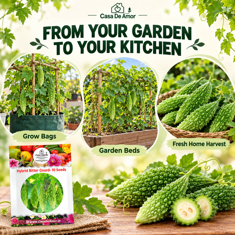 Hybrid Bitter Gourd (Karela) Seeds – 10 Seeds