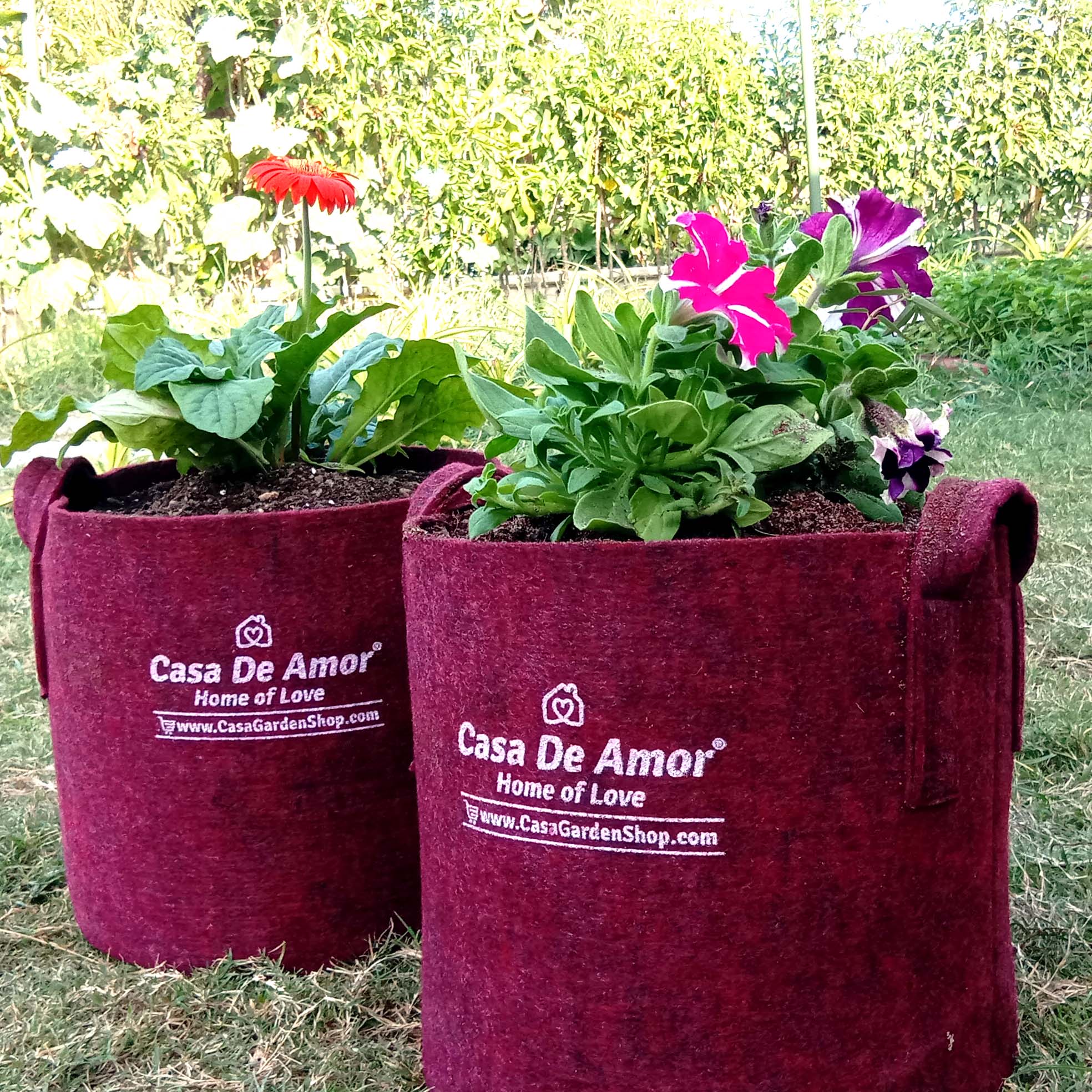 750 Litre WOVEN Planter Bags w Easy Fill Round Base. Grow trees, vegie -  The Climbing Fig