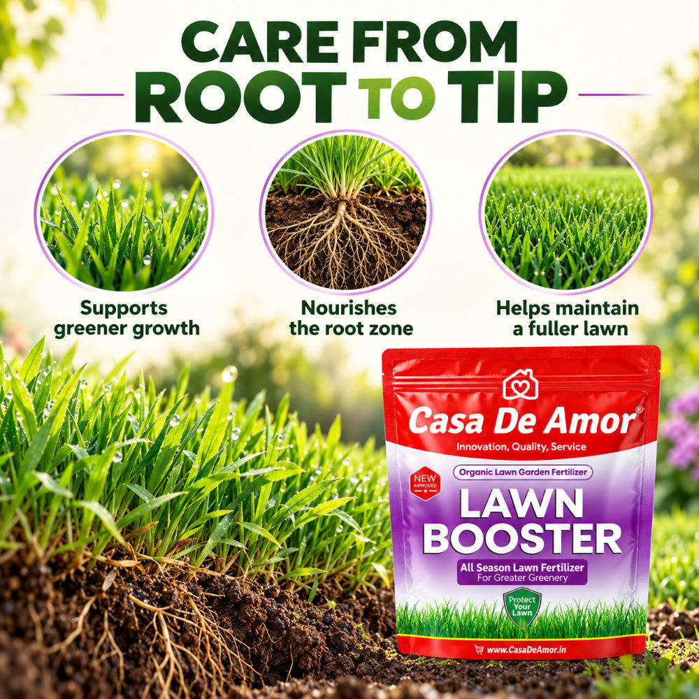 Casa De Amor Lawn Booster, 100% Organic Lawn Bio-Fertilizer, for Lush Green Lawn Grass
