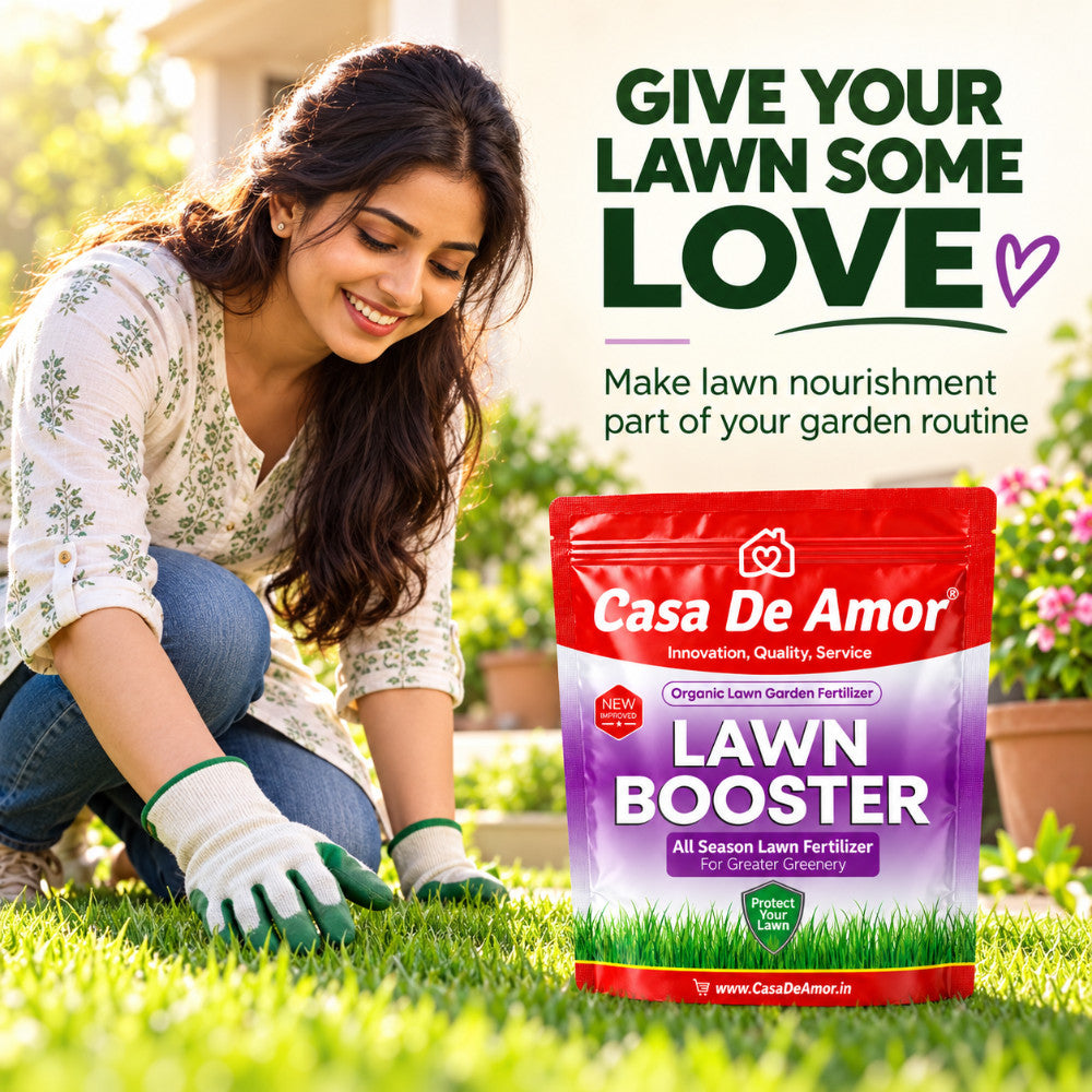 Casa De Amor Lawn Booster, 100% Organic Lawn Bio-Fertilizer, for Lush Green Lawn Grass