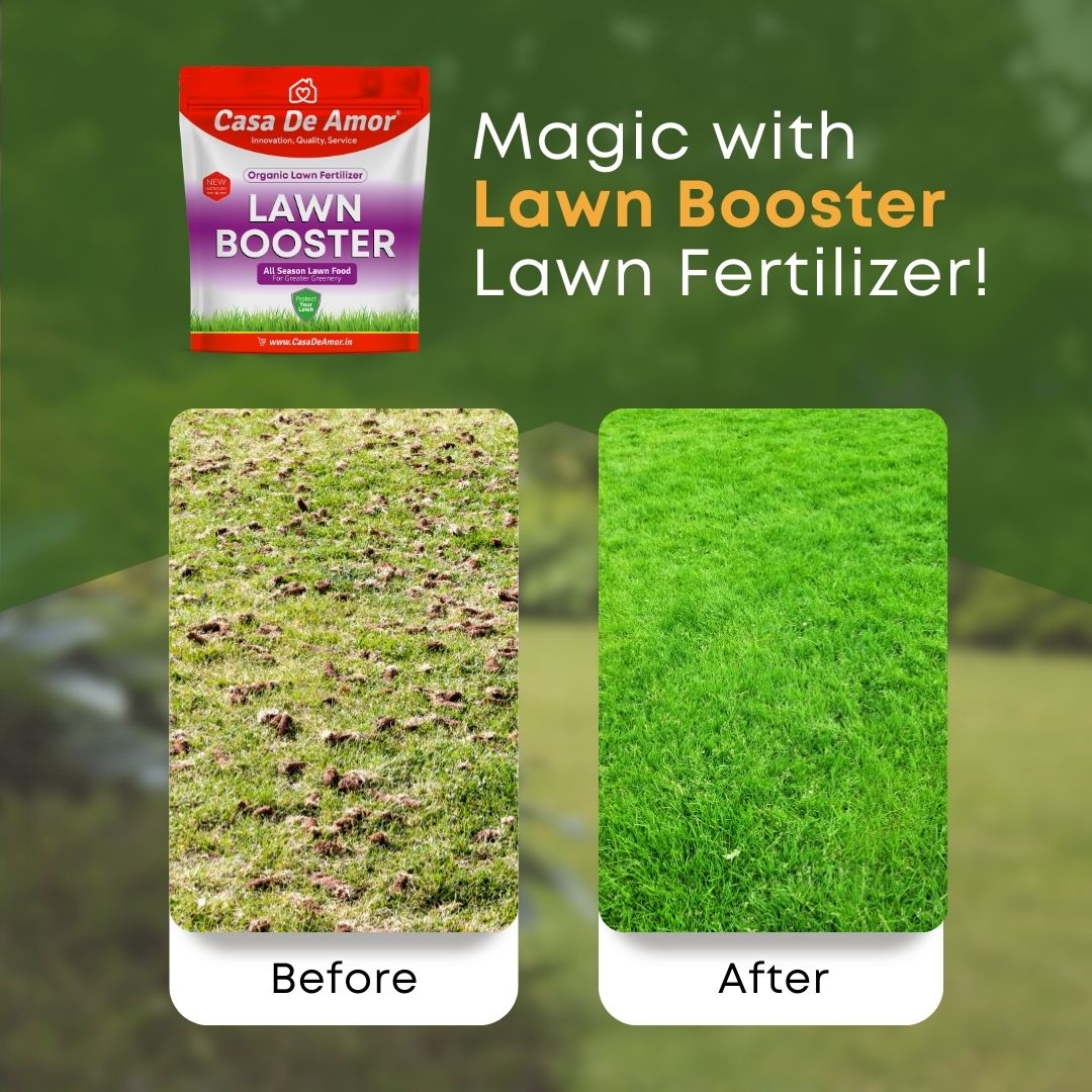 Casa De Amor Lawn Booster, 100% Organic Lawn Bio-Fertilizer, for Lush Green Lawn Grass