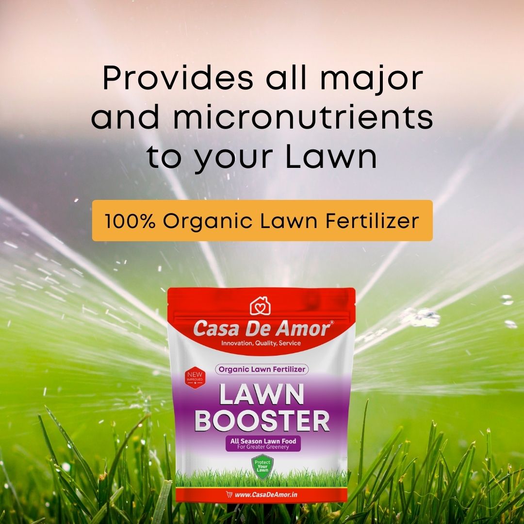 Casa De Amor Lawn Booster, 100% Organic Lawn Bio-Fertilizer, for Lush Green Lawn Grass