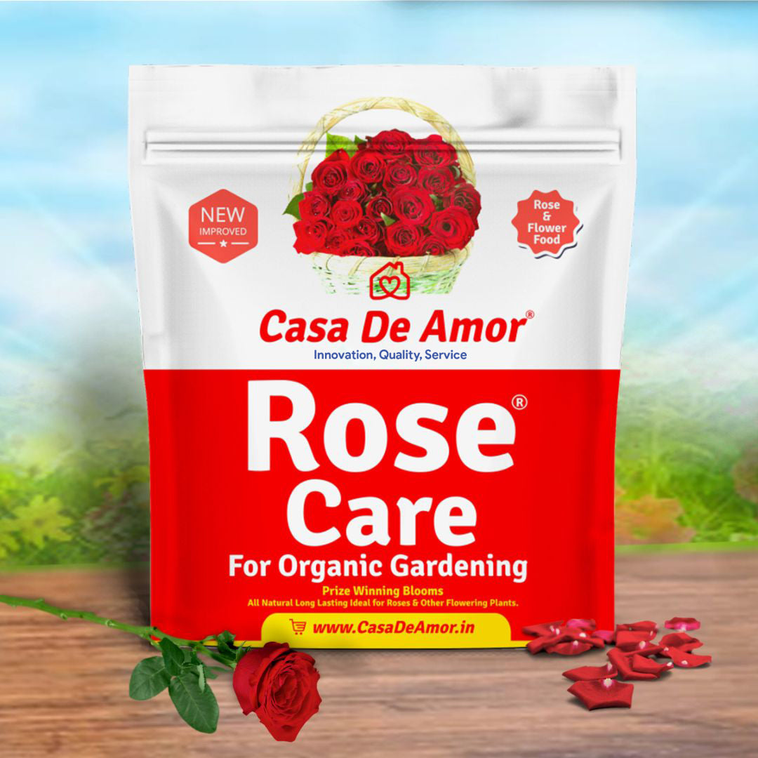 rose fertilizer