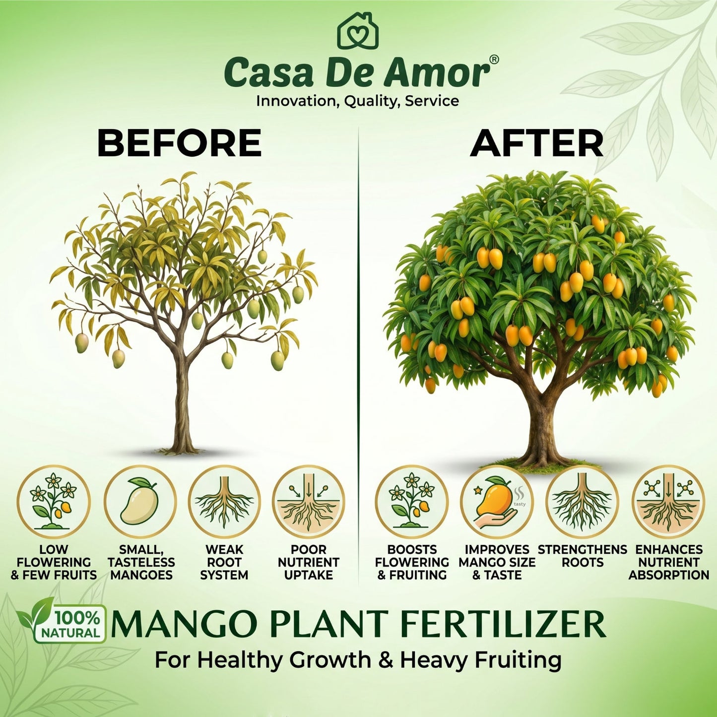 Casa De Amor Mango Plant Fertilizer for Faster Growth, Flowering & Fruiting | Improves Mango Size & Taste | Suitable for All Mango Trees & Plants | Natural Nutrient Formula