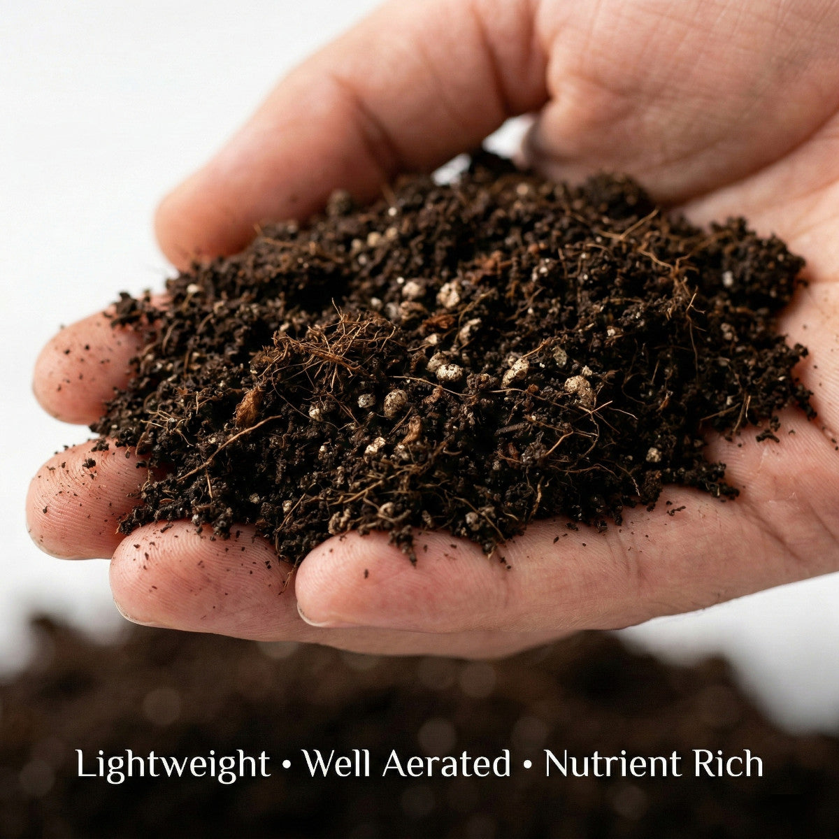 Microgreens Organic Potting Soil, Grow Microgreens in Kitchen Garden, Terrace Garden