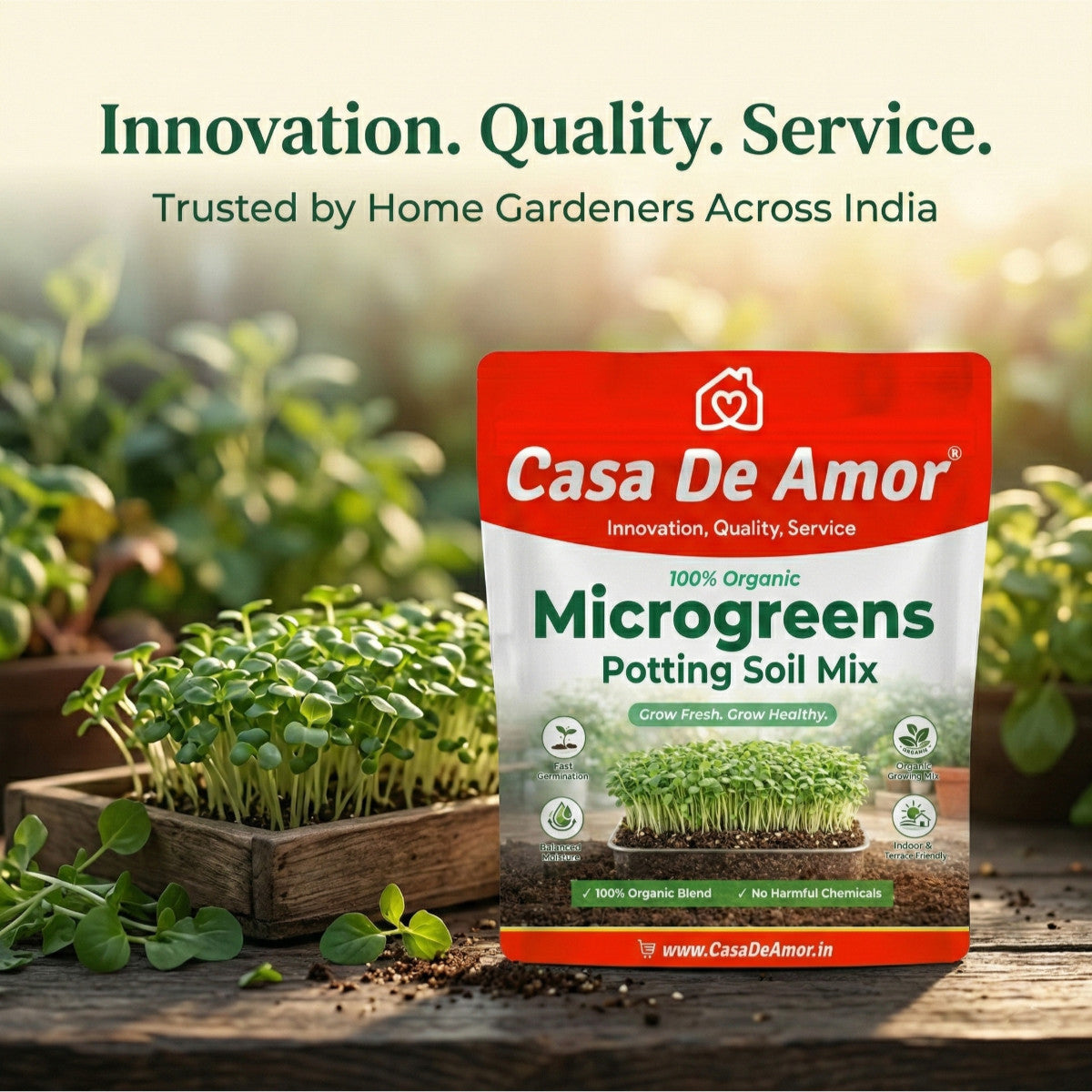 Microgreens Organic Potting Soil, Grow Microgreens in Kitchen Garden, Terrace Garden