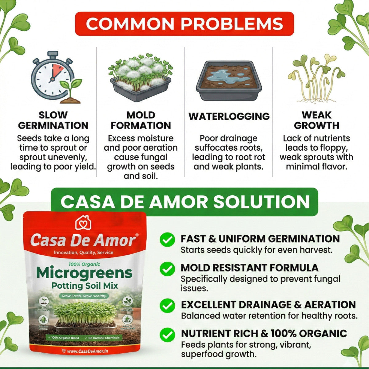 Microgreens Organic Potting Soil, Grow Microgreens in Kitchen Garden, Terrace Garden