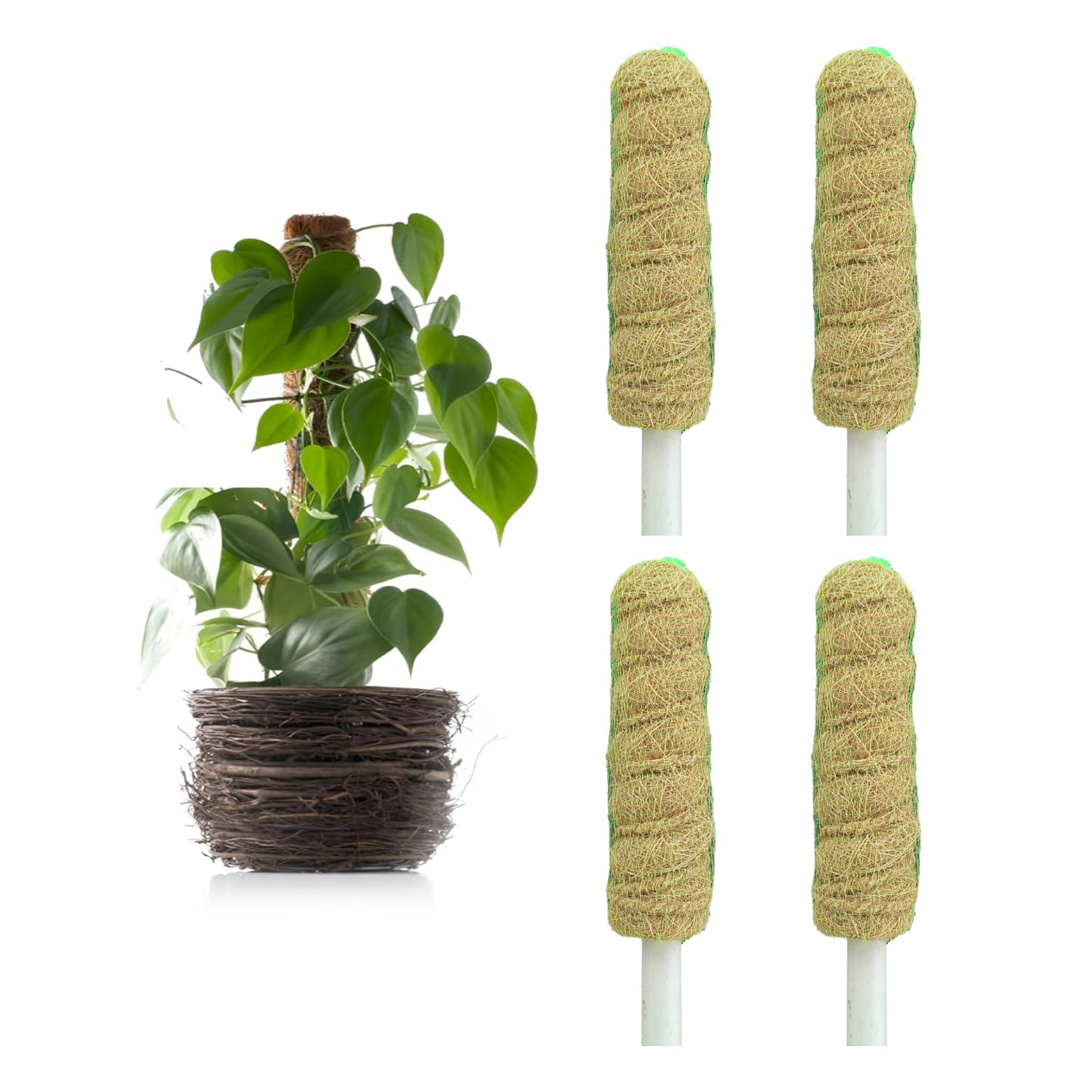 Casa De Amor Coir Stick/Coco Pole | Natural Support for Climbing Indoor & Outdoor Plants | Strong Pole for Creeper and Money Plant Growth