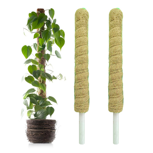 Casa De Amor Coir Stick/Coco Pole | Natural Support for Climbing Indoor & Outdoor Plants | Strong Pole for Creeper and Money Plant Growth