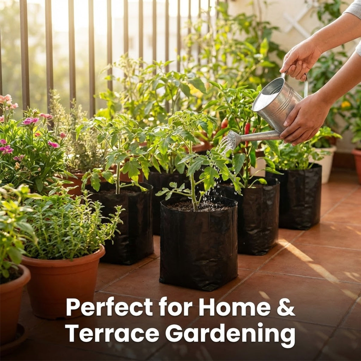 Casa De Amor Recyclable Plastic UV Protected Poly Grow Nursery Plant Bags | Plant Bags for Home Garden (Black)