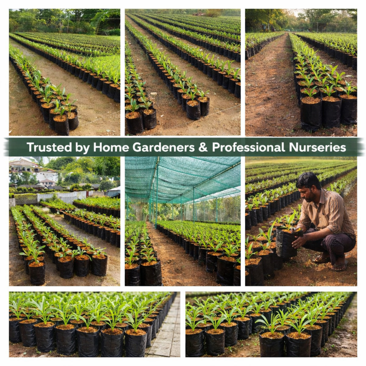 Casa De Amor Recyclable Plastic UV Protected Poly Grow Nursery Plant Bags | Plant Bags for Home Garden (Black)