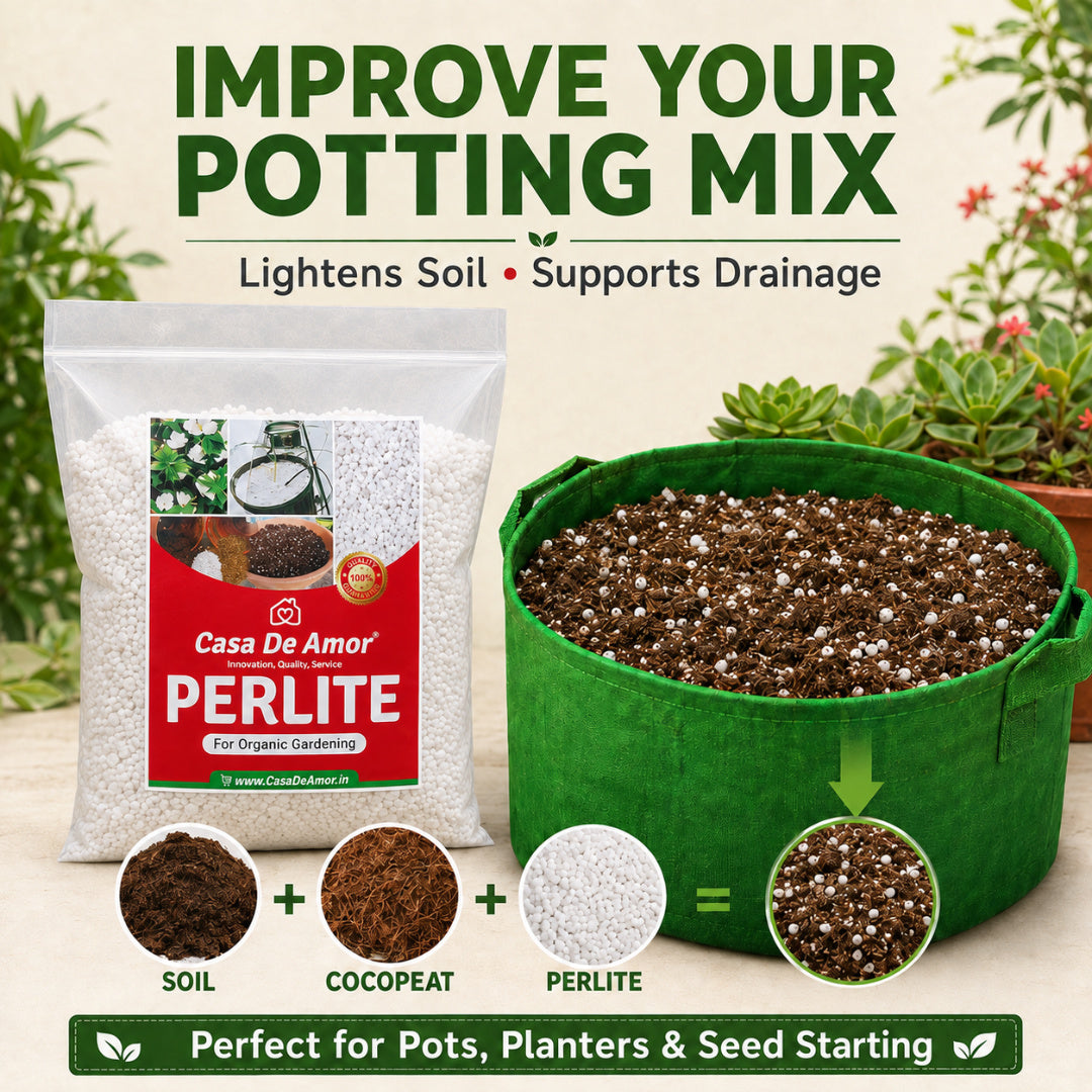 Perlite for Hydroponics & Horticulture Terrace Gardening Soil Conditioner (White)