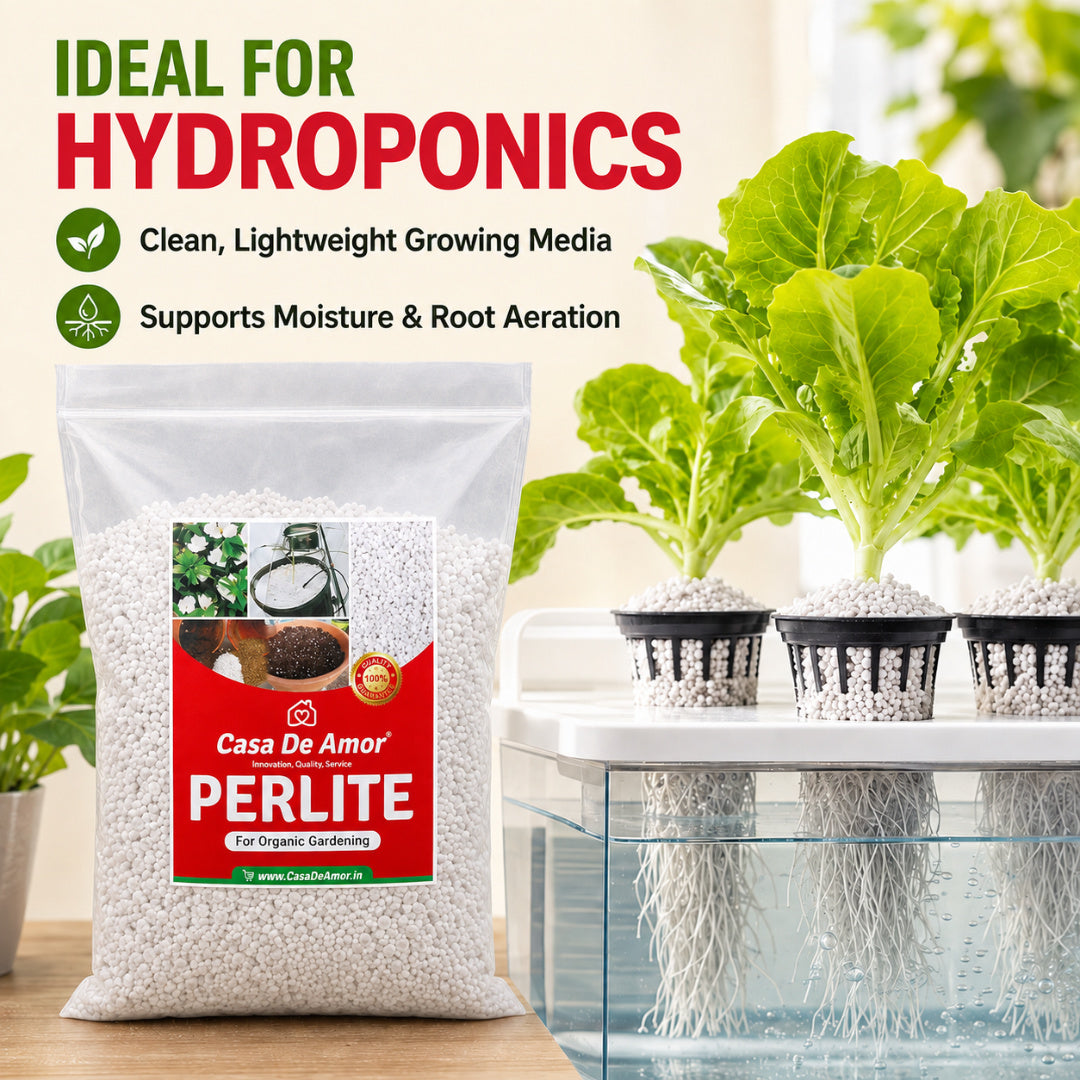 Perlite for Hydroponics & Horticulture Terrace Gardening Soil Conditioner (White)
