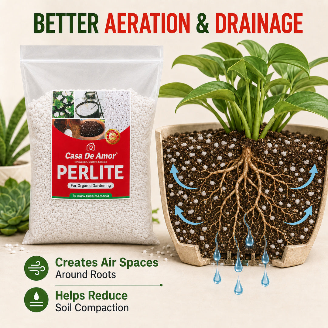 Perlite for Hydroponics & Horticulture Terrace Gardening Soil Conditioner (White)