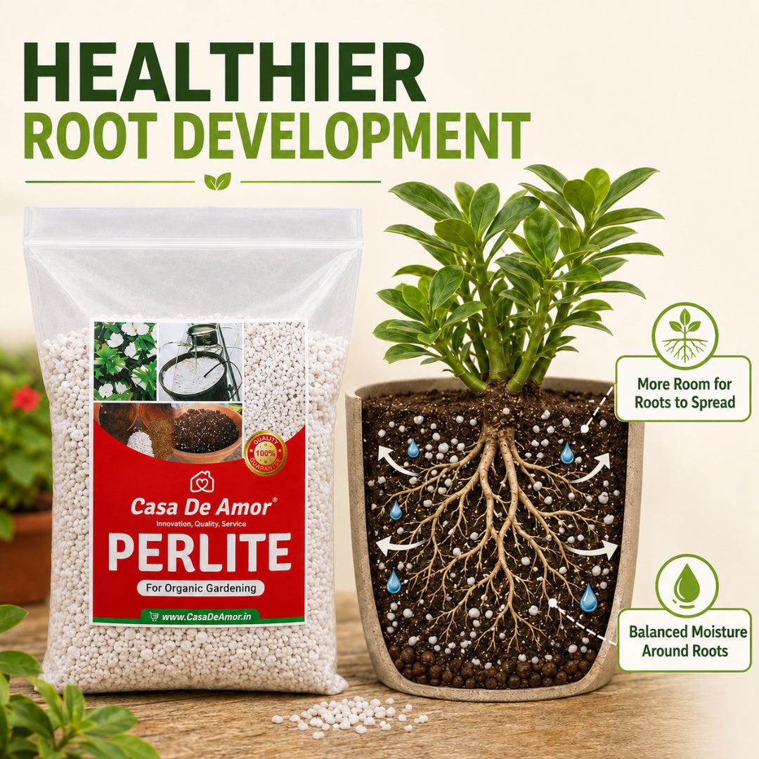 Perlite for Hydroponics & Horticulture Terrace Gardening Soil Conditioner (White)