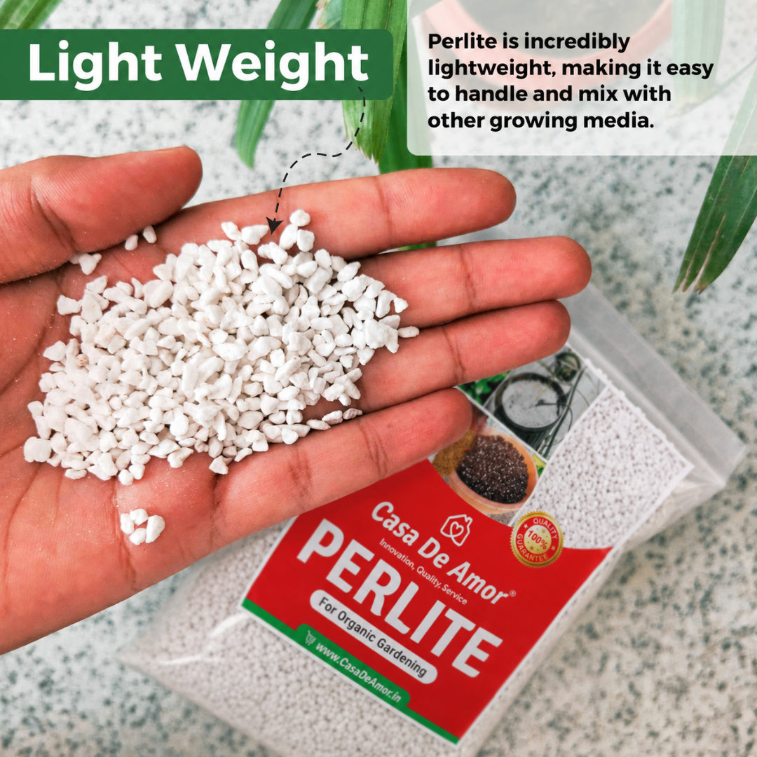 Perlite for Hydroponics & Horticulture Terrace Gardening Soil Conditioner (White)