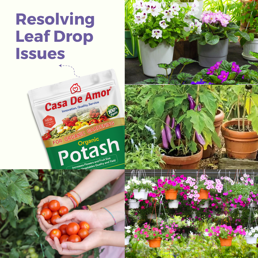 Casa De Amor Organic Potash Fertilizer for Gardening