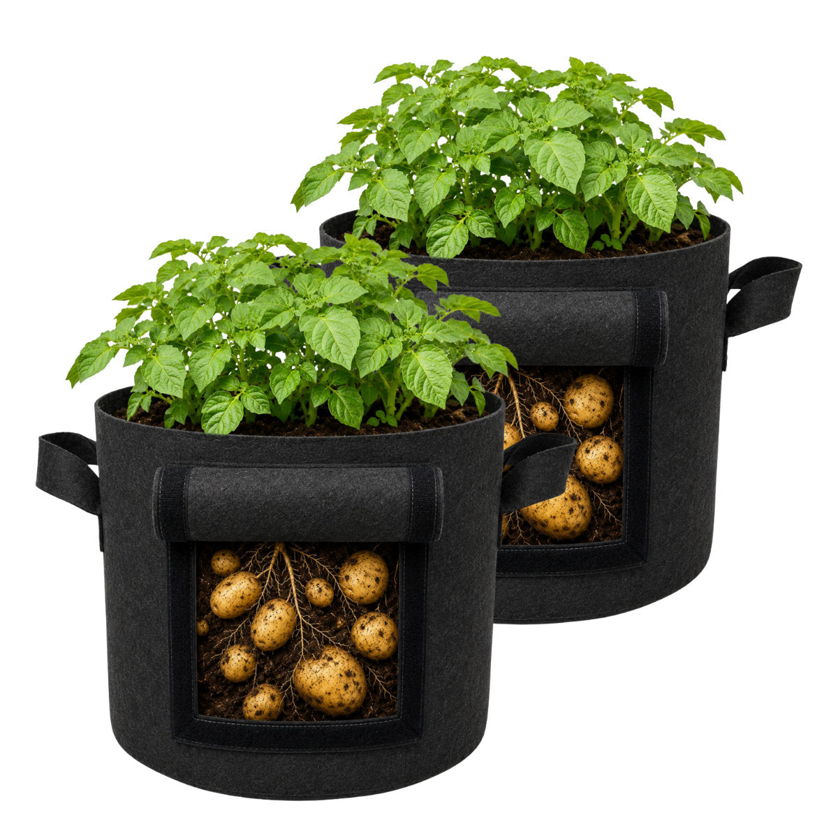 Casa De Amor 400 GSM Geo Fabric Potato Grow Bag with Harvest Window – 15x12 Inch