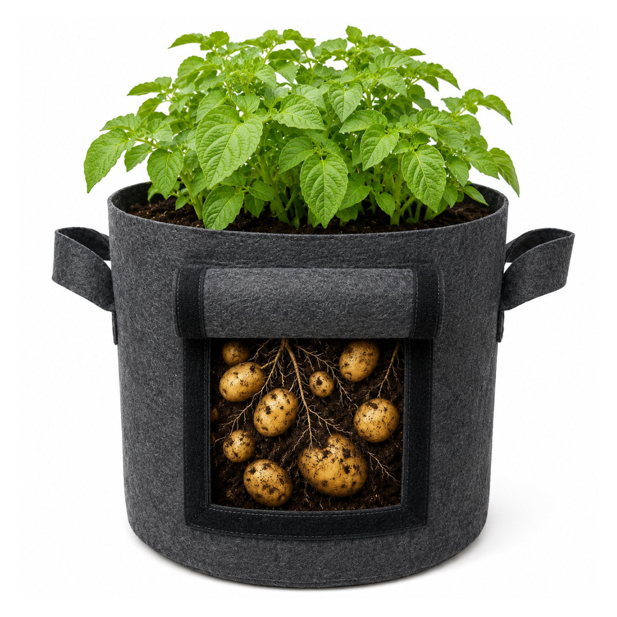 Casa De Amor 400 GSM Geo Fabric Potato Grow Bag with Harvest Window – 15x12 Inch