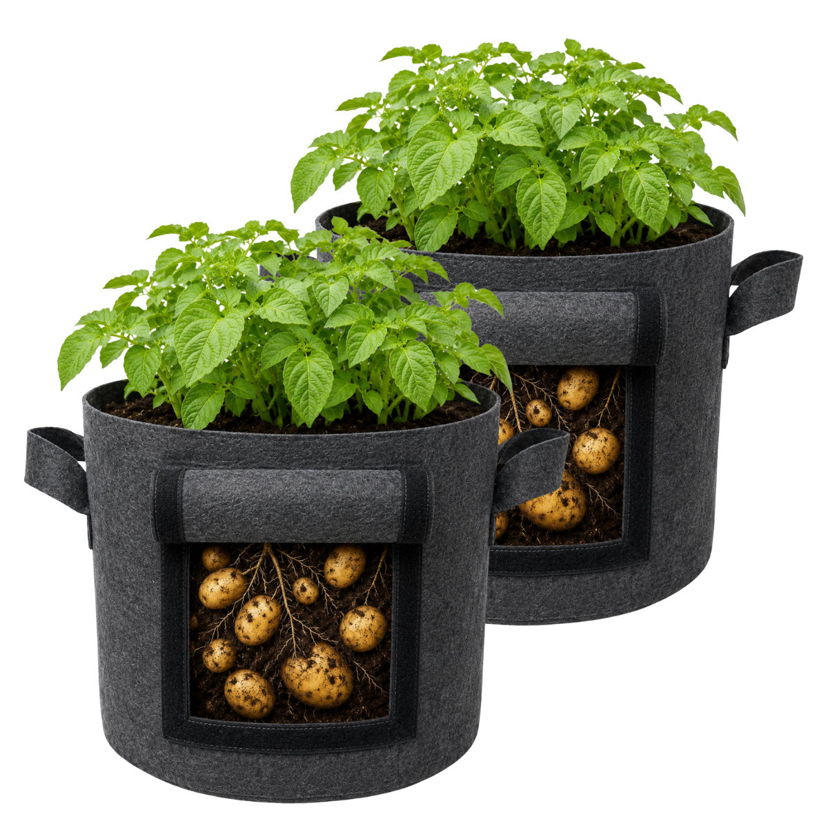 Casa De Amor 400 GSM Geo Fabric Potato Grow Bag with Harvest Window – 15x12 Inch