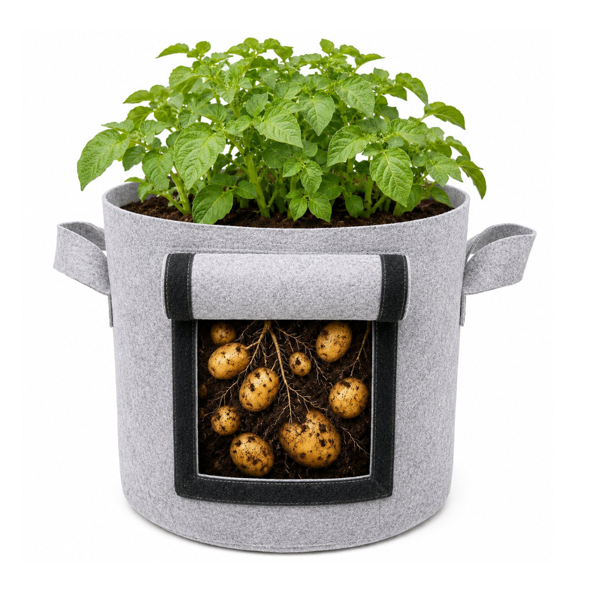 Casa De Amor 400 GSM Geo Fabric Potato Grow Bag with Harvest Window – 15x12 Inch