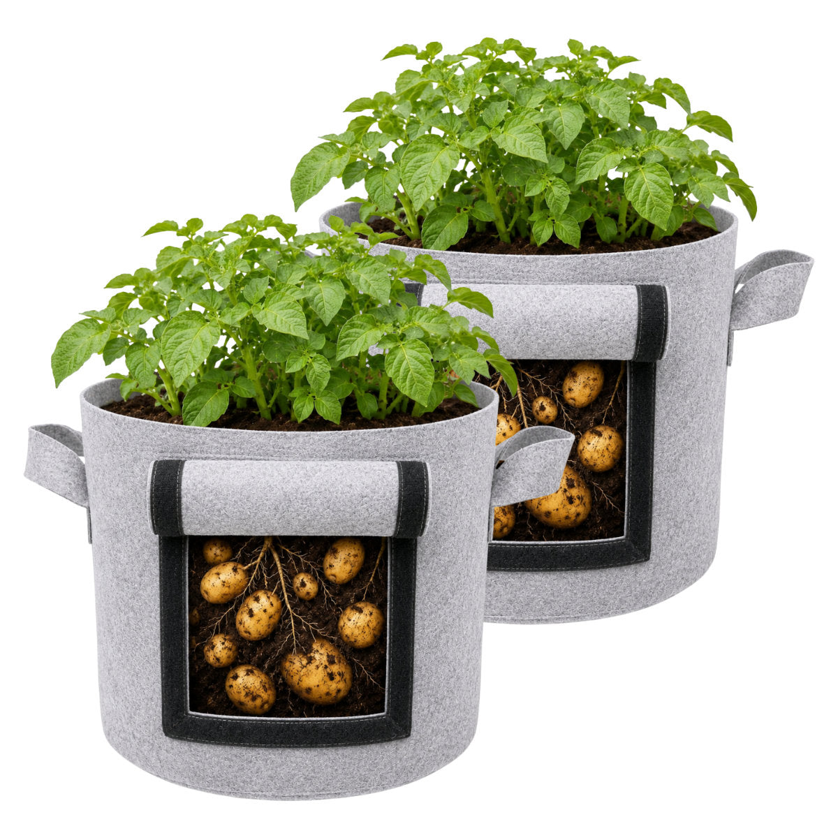 Casa De Amor 400 GSM Geo Fabric Potato Grow Bag with Harvest Window – 15x12 Inch