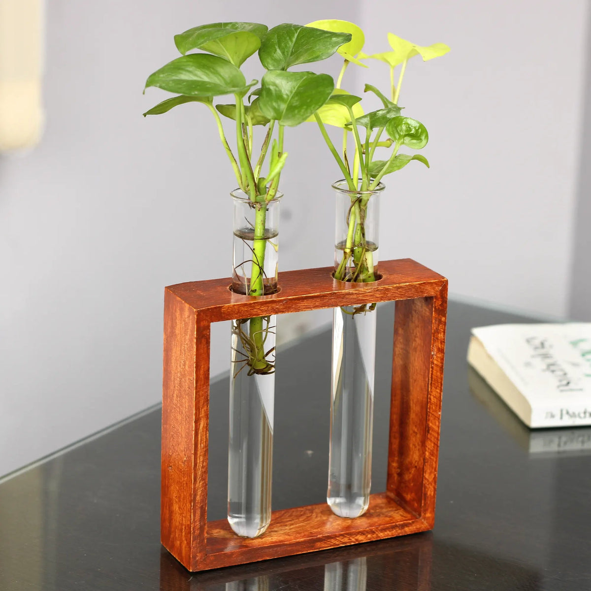 Casa De Amor Test Tube Planter with Wooden Holder for Office Table Top & Living Room Decoration