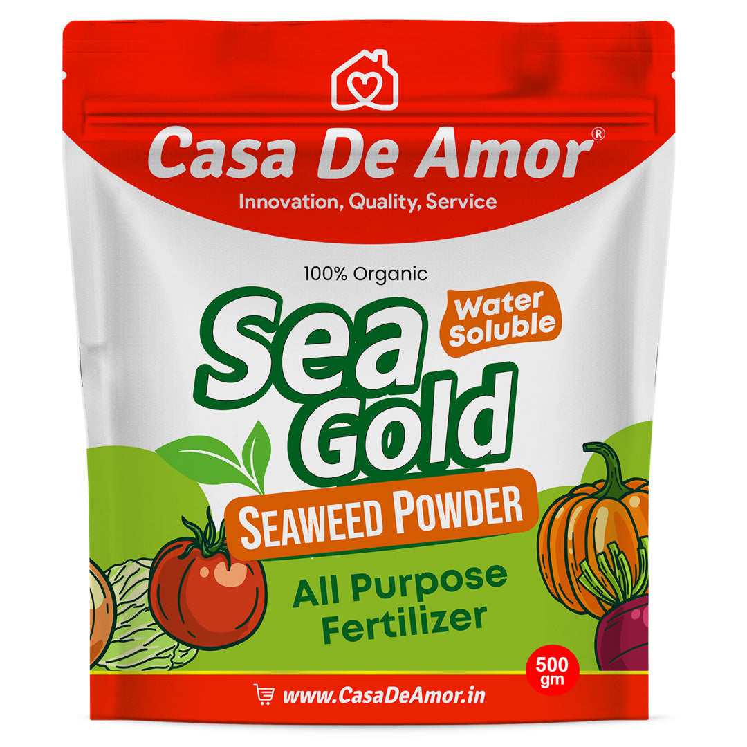 Casa De Amor Sea Gold Organic Seaweed Extract Powder | All Purpose Fertilizer and Plant Growth Booster