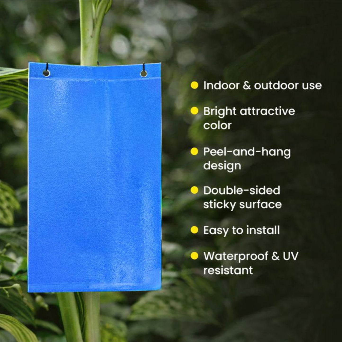 Casa De Amor Sticky Pads for Sticky Trap for Insects Pack of 10 Sheets | for Garden & Agriculture to Control Whiteflies, Aphids, Thrips, Jassids| Fly Catcher Insect Catcher Glue Trap for 100% Results